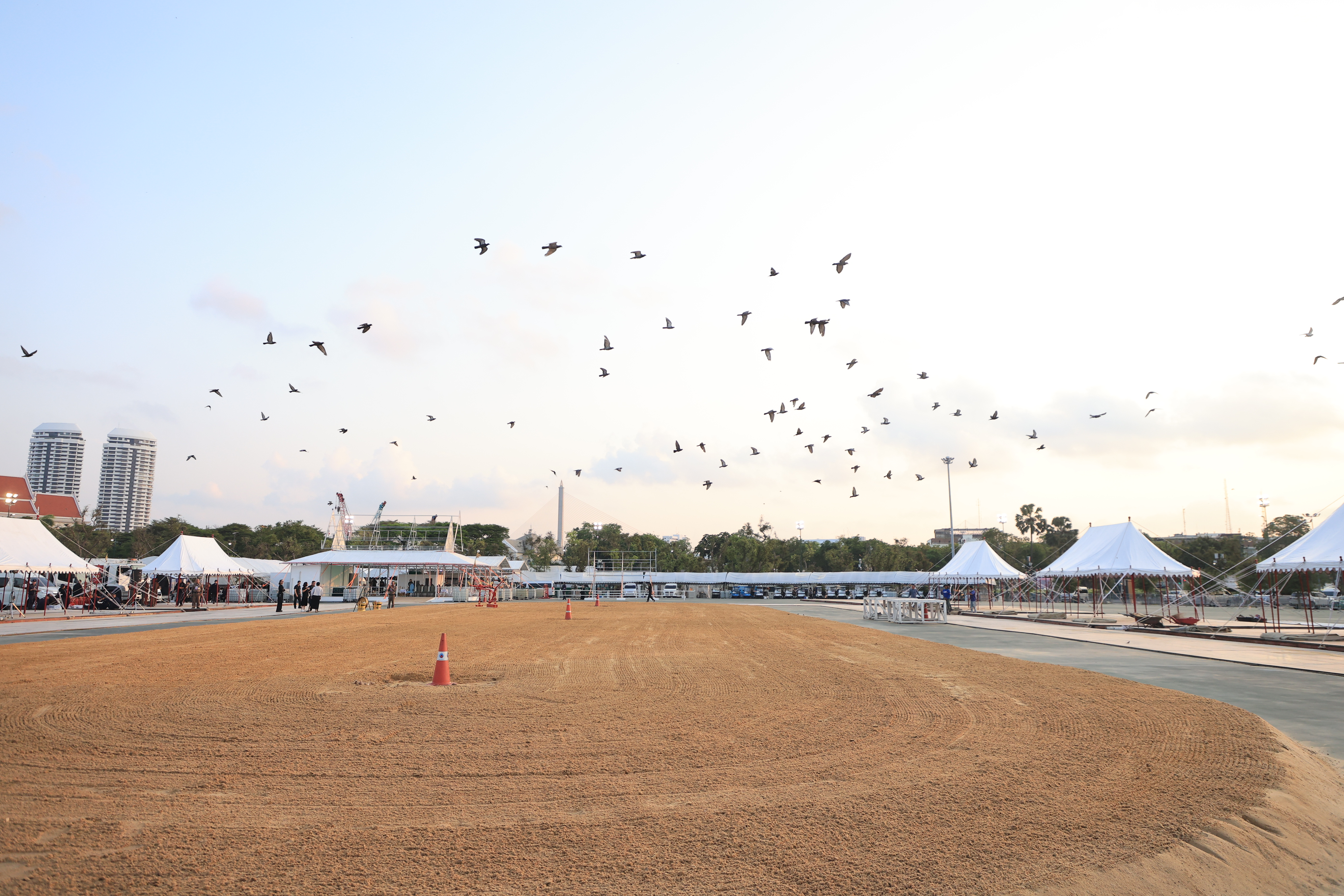 title - ส.ป.ก. ร่วมซ้อมใหญ่ ครั้งที่ 1 พระราชพิธีพืชมงคลจรดพระนังคัลแรกนาขวัญ ประจำปีพุทธศักราช 2569 